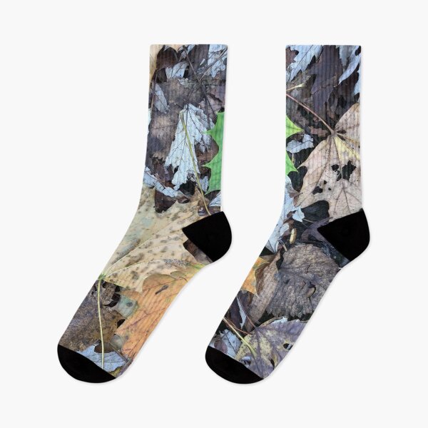 Item preview, Autumn Leaves on the Forest Floor designed and sold by CJRPics.