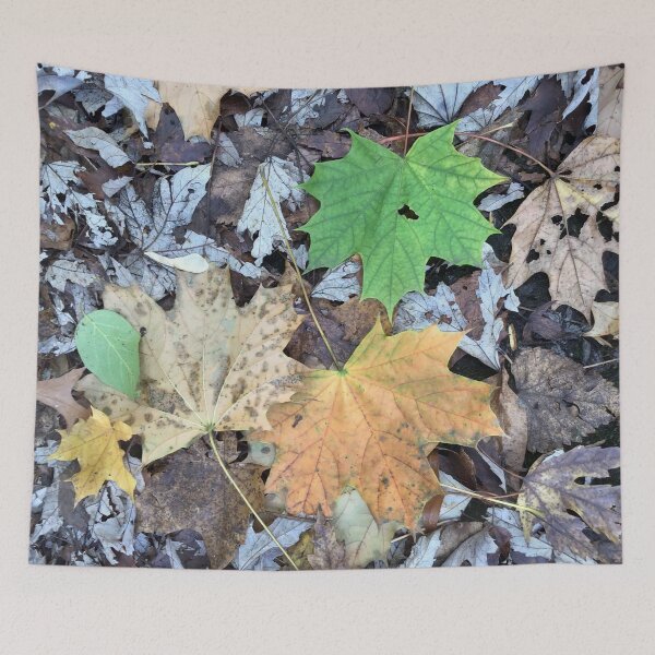 Item preview, Autumn Leaves on the Forest Floor designed and sold by CJRPics.