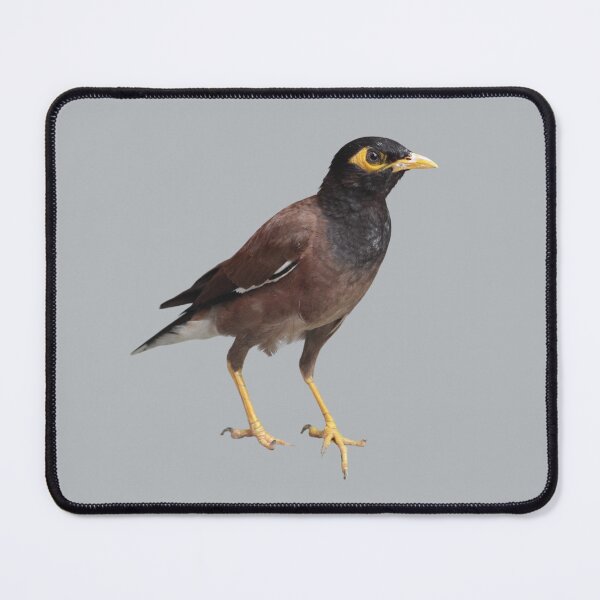 Item preview, Myna Bird designed and sold by RainbowSpinkle.