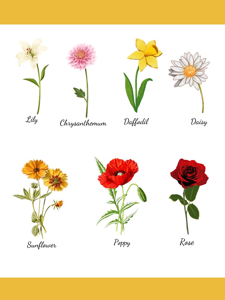 the names of the flowers