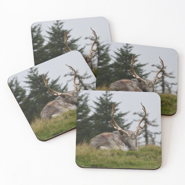 Item preview, Sleepy caribou designed and sold by ladywithacamera.