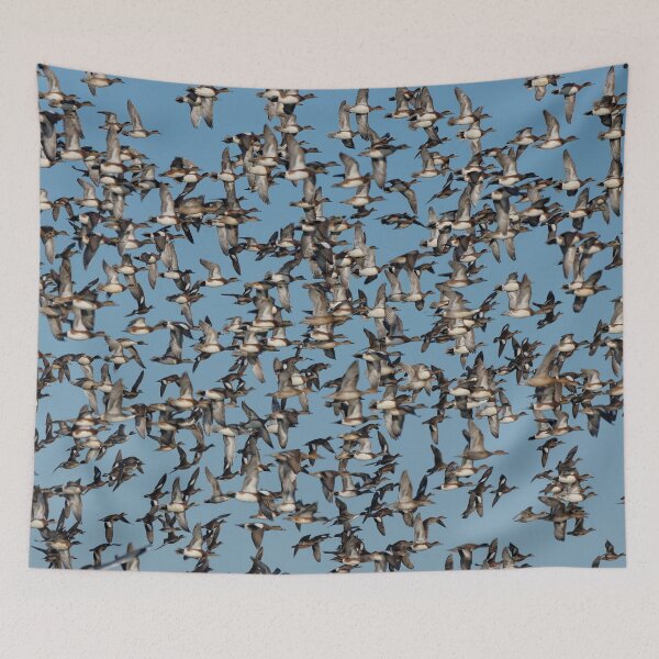 Item preview, Wintering Ducks in Flight designed and sold by walkswithnature.