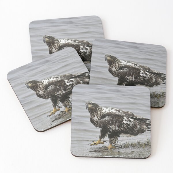 Item preview, Bald Eagle designed and sold by ladywithacamera.