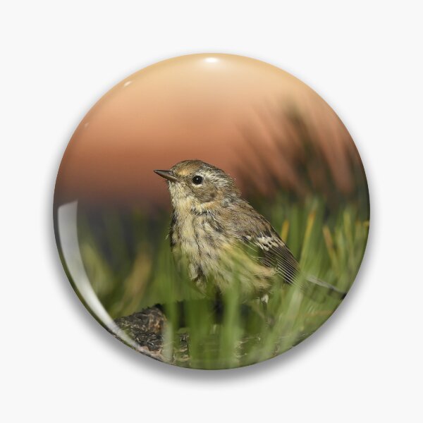 Item preview, Yellow rumped warbler designed and sold by ladywithacamera.
