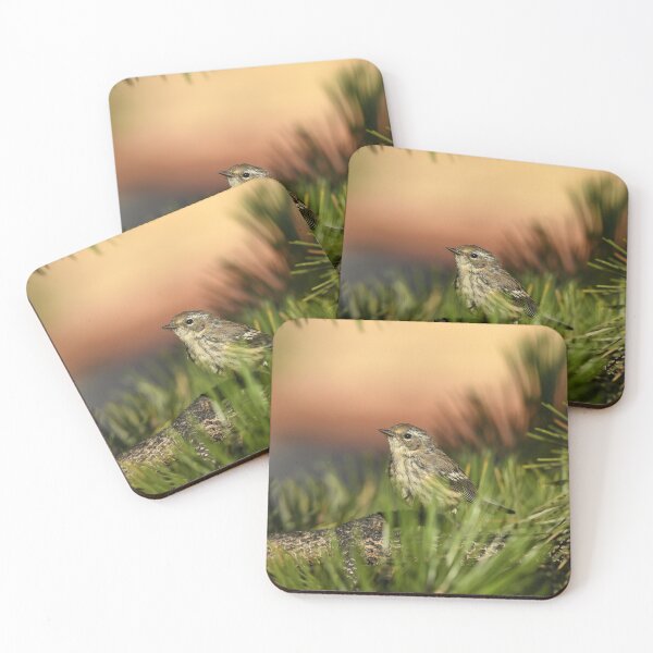 Item preview, Yellow rumped warbler designed and sold by ladywithacamera.