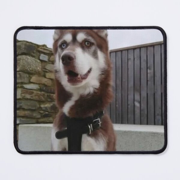 Item preview, dog picture designed and sold by Skysworld9.