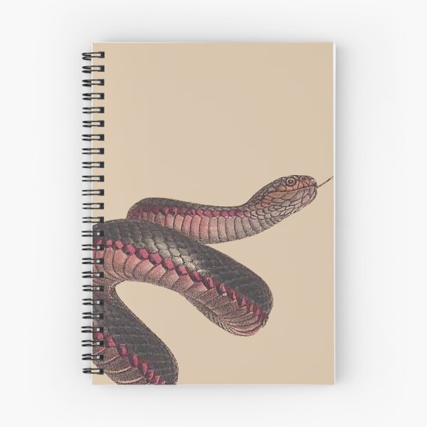 Item preview, The red-bellied black snake ( Pseudechis porphyriacus) - on aged paper designed and sold by boltjesdesign.