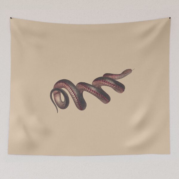Item preview, The red-bellied black snake ( Pseudechis porphyriacus) - on aged paper designed and sold by boltjesdesign.
