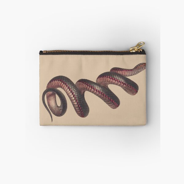 Item preview, The red-bellied black snake ( Pseudechis porphyriacus) - on aged paper designed and sold by boltjesdesign.