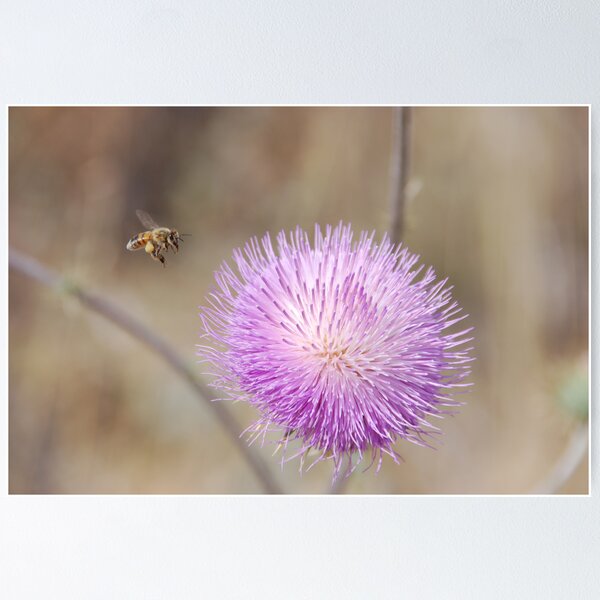 Item preview, Just Bee  designed and sold by Judy Ann  Grant.