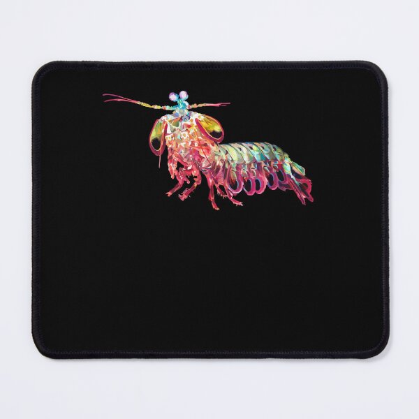 Item preview, Rainbow Peacock Mantis Shrimp Science Under Water Creatures designed and sold by Dressed For Duty.