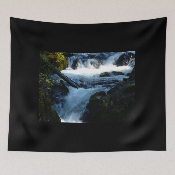 Item preview, Late Afternoon Sun On Sol Duc Falls designed and sold by Elaine Bawden.