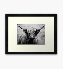 Highland Beauty Framed Print