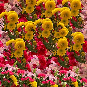 Artwork thumbnail, Floral overload by Rachel the Artist
