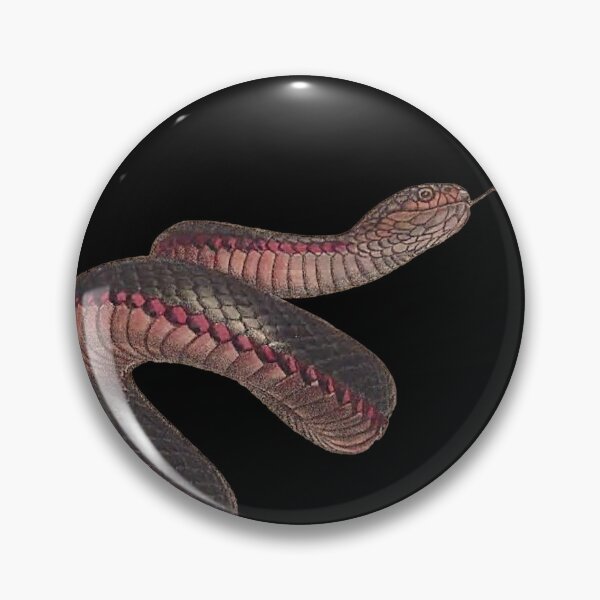 Item preview, The red-bellied black snake (Pseudechis porphyriacus) - on Black designed and sold by boltjesdesign.