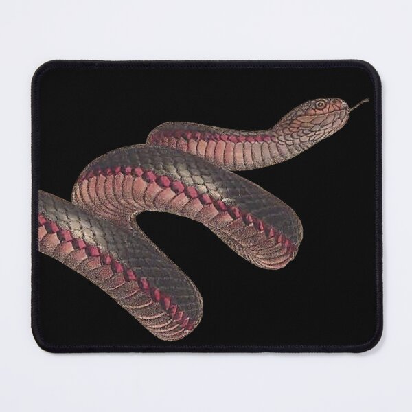 Item preview, The red-bellied black snake (Pseudechis porphyriacus) - on Black designed and sold by boltjesdesign.