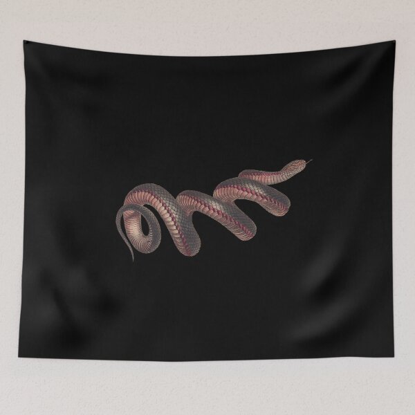 Item preview, The red-bellied black snake (Pseudechis porphyriacus) - on Black designed and sold by boltjesdesign.