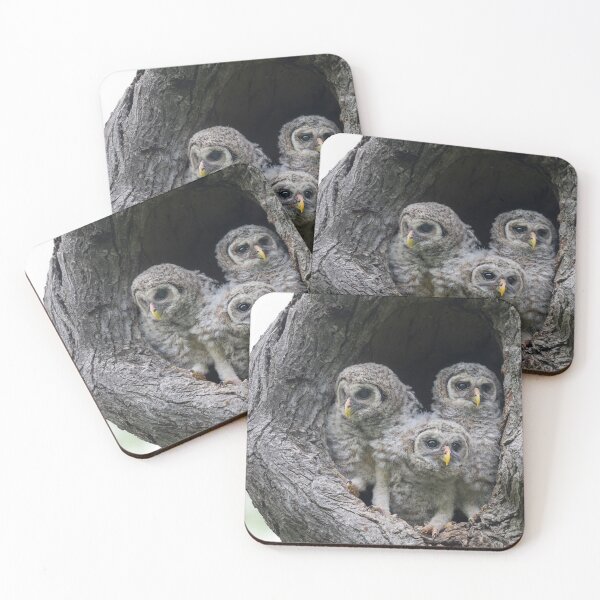 Item preview, Curious Babies designed and sold by Puttaswamy Ravishankar.
