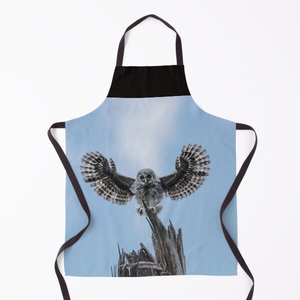 Item preview, I Believe I Can Fly designed and sold by Puttaswamy Ravishankar.