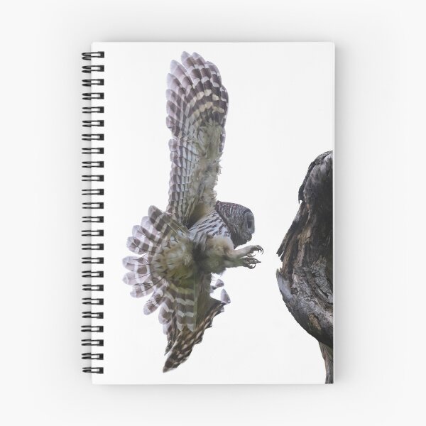 Item preview, Mama Barred Owl approaching its baby designed and sold by Puttaswamy Ravishankar.
