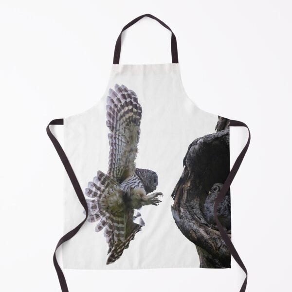 Item preview, Mama Barred Owl approaching its baby designed and sold by Puttaswamy Ravishankar.