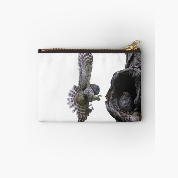Item preview, Mama Barred Owl approaching its baby designed and sold by Puttaswamy Ravishankar.