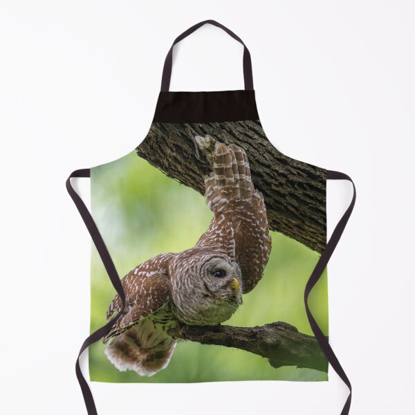 Item preview, Relaxing Male Barred Owl designed and sold by Puttaswamy Ravishankar.