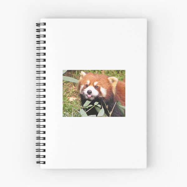 Item preview,  red panda designed and sold by muffinwizzard.