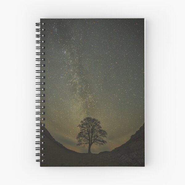 Item preview, Robin Hood Tree Milky Way designed and sold by Mark Hetherington.