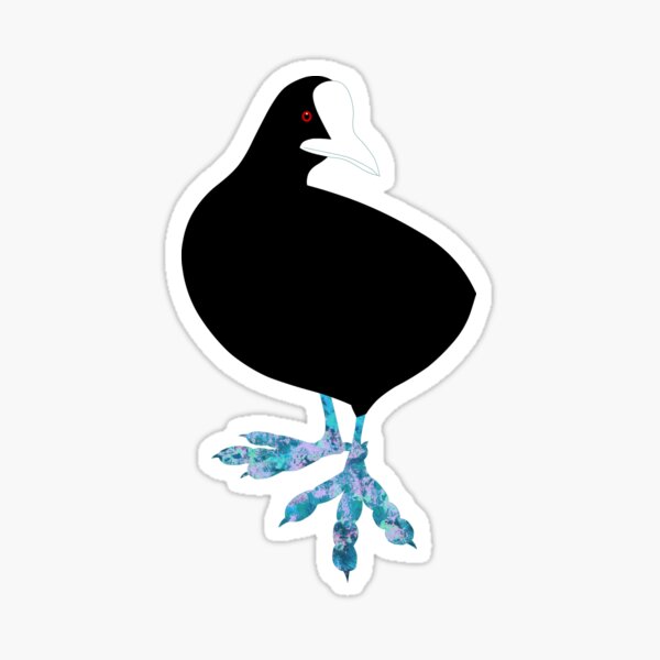 Common Coot - the Abstract Bird Sticker