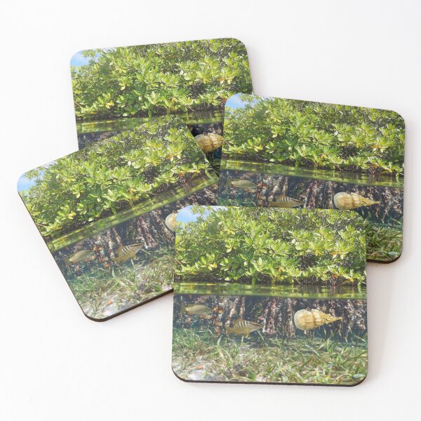 Item preview, Mangrove habitat in the sea with marine life underwater designed and sold by Seaphotoart.