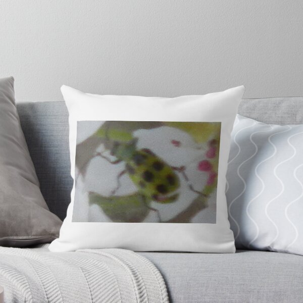 Item preview, Looking At You Looking At Me! designed and sold by Navigator.