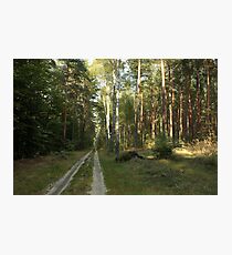 Vanishing Point Photographic Print