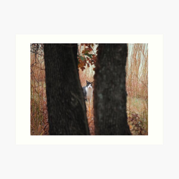 Can You See Me Art Print