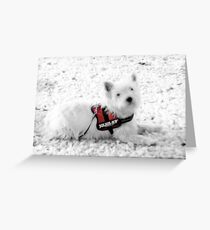 Snow white Greeting Card