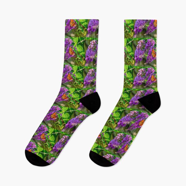 Item preview, Peacock Butterfly on Buddleia flowers in the Sun designed and sold by Dalyndigital Photography.