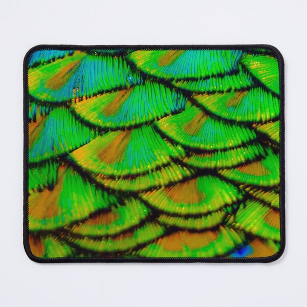 Item preview, Peacock scales designed and sold by Dalyndigital Photography.