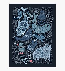 Arctic animals Photographic Print