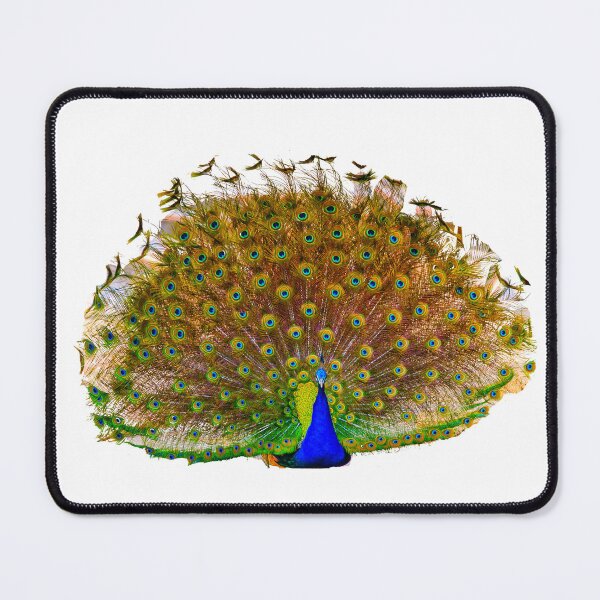 Item preview, As Proud as a Peacock designed and sold by Dalyndigital Photography.