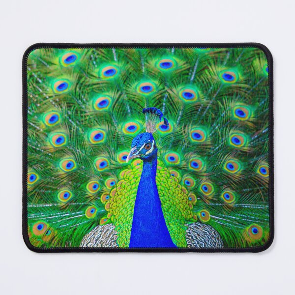Item preview, Just look at my tail designed and sold by Dalyndigital Photography.