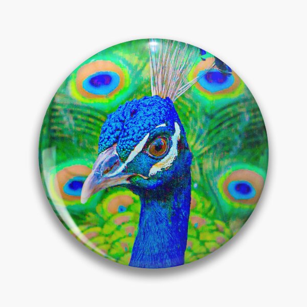 Item preview, Proud Peacock designed and sold by Dalyndigital Photography.