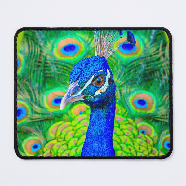 Item preview, Proud Peacock designed and sold by Dalyndigital Photography.
