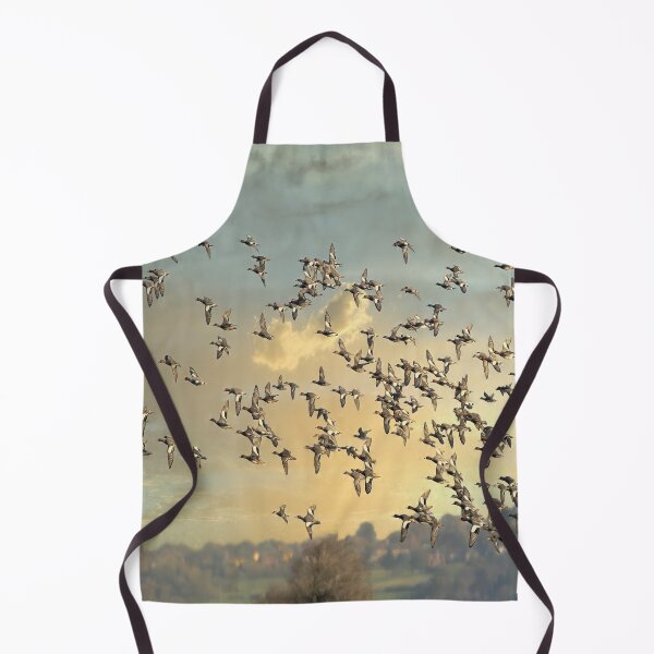 Item preview, Eurasian teal  designed and sold by Darren Wilkes.
