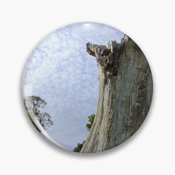 Item preview, Tree Stump designed and sold by pinkal.