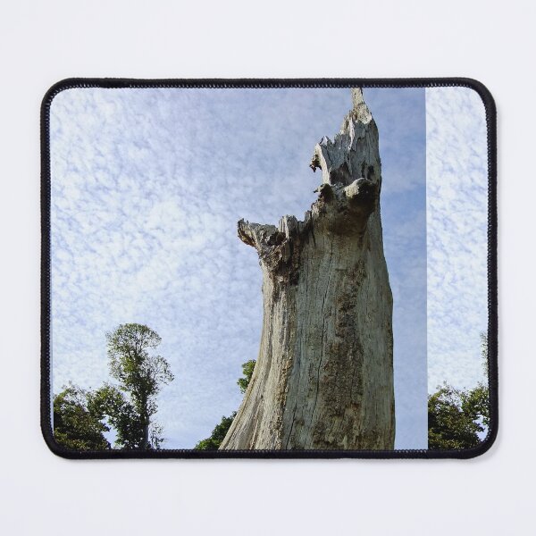 Item preview, Tree Stump designed and sold by pinkal.