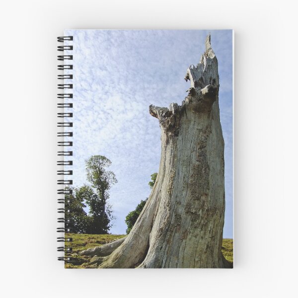 Item preview, Tree Stump designed and sold by pinkal.