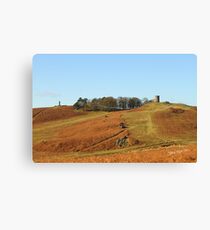 Old John Canvas Print