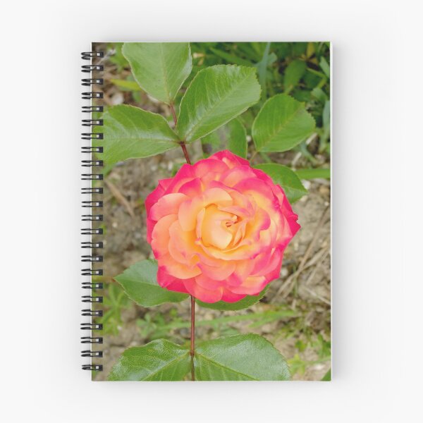 Item preview, Tea Rose designed and sold by pinkal.