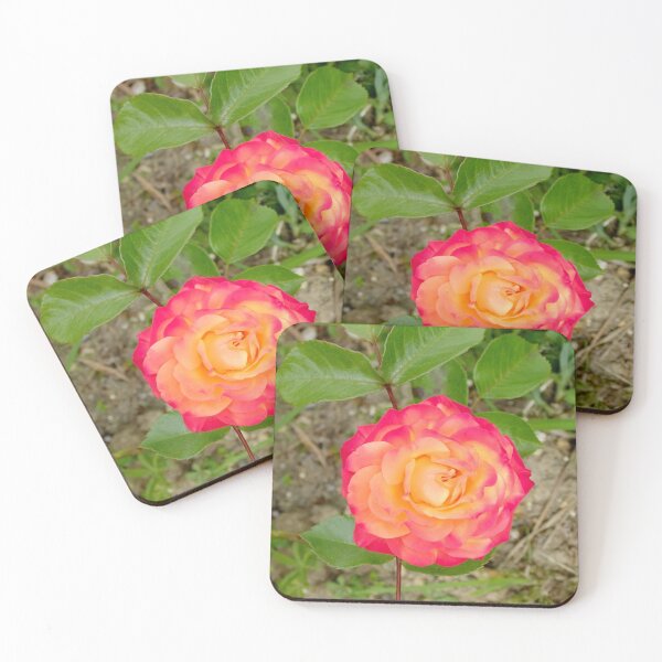 Item preview, Tea Rose designed and sold by pinkal.