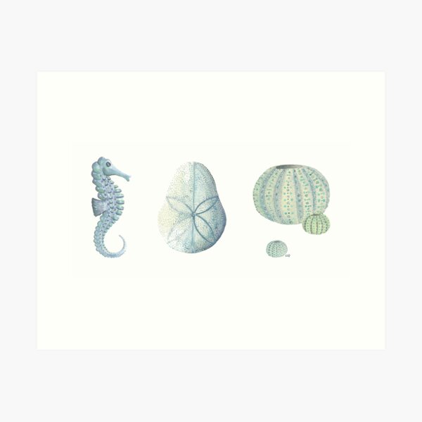 coastal collection I - a study in blue Art Print